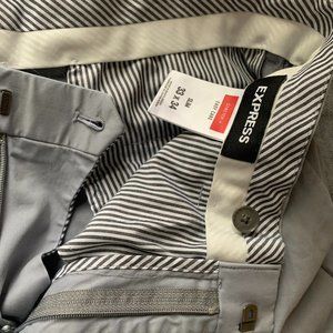 Gray Express Dress Pants